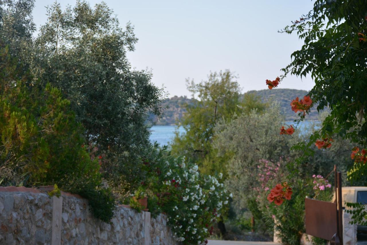 Aristotelis Epidaurus Екстериор снимка