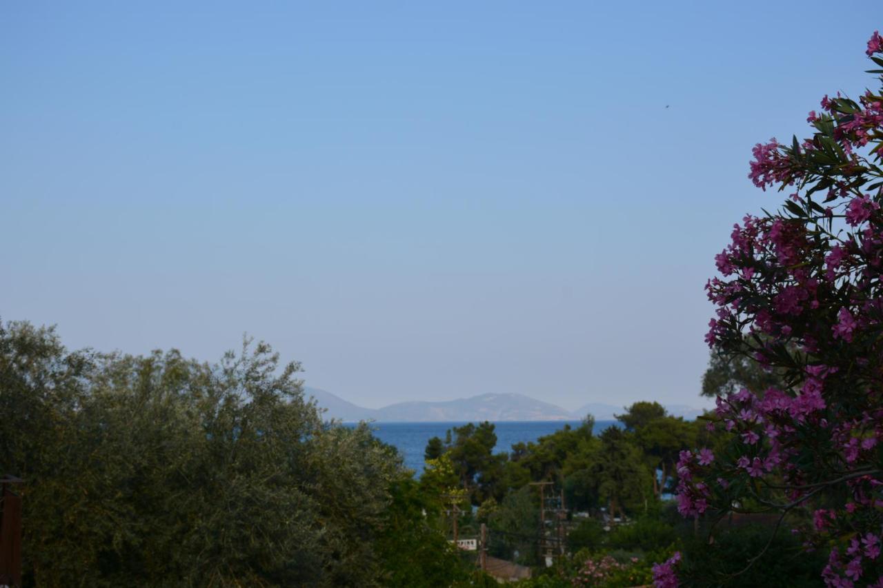 Aristotelis Epidaurus Екстериор снимка
